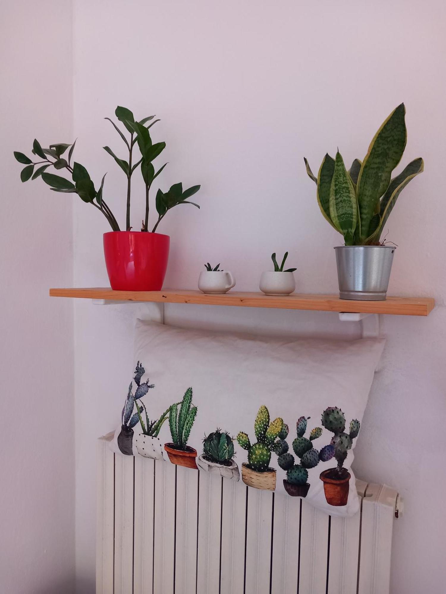 Apartament A Casa Di Sara Castel San Pietro Terme Zewnętrze zdjęcie