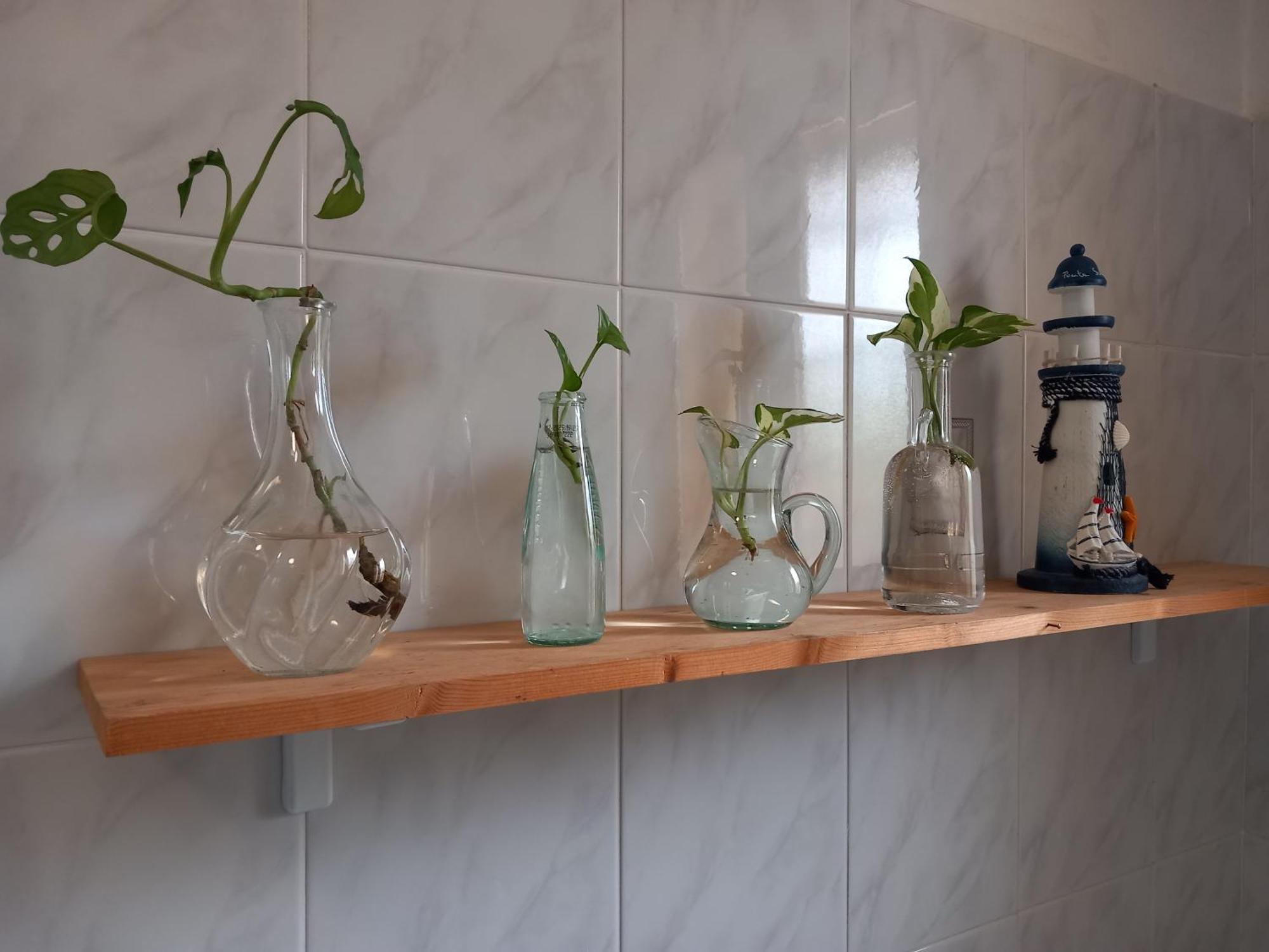 Apartament A Casa Di Sara Castel San Pietro Terme Zewnętrze zdjęcie